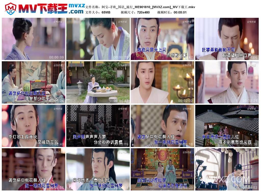 阿宝-寻欢_国语_流行_ME901810